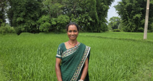 बिहान से आत्मनिर्भर बनीं शकुंतला राजवाड़े, कम लागत की खेती से बढ़ा आय का आधार….