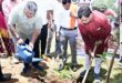 प्रभारी मंत्री राजेश अग्रवाल ने किया पौधरोपण, हरेली पर हरित जीपीएम का संकल्प….. प्रभारी मंत्री राजेश अग्रवाल ने किया पौधरोपण, हरेली पर हरित जीपीएम का संकल्प…..