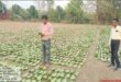 तेन्दूपत्ता संग्रहण की नई पहल से अबुझमाड़ के 22 गांवों को मिला लाभ, गांव के पास खुला फड़, 365 संग्राहकों को मिला सीधा आर्थिक लाभ….