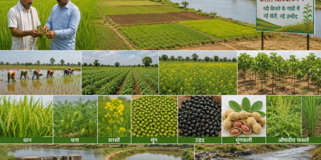 नदी किनारे की माटी में समृद्धि का नया अध्याय, धमतरी में 38 हजार किसानों की किस्मत बदलेगा फसल विविधीकरण…..