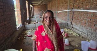 सेवा की कहानी : बिहान से ग्रामीण महिलाओं के जीवन में आई आत्मनिर्भरता की नई सुबह….