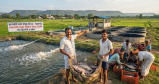 बदलाव की मिसाल : बदली किसानों की किस्मत प्रधानमंत्री मत्स्य संपदा योजना से, पारंपरिक खेती के साथ मछली पालन बन रहा अतिरिक्त आमदनी का मजबूत जरिया….