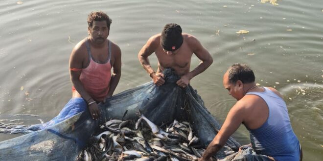 सेवा- संकल्प- अभियान : मत्स्य पालन से संवरी गांधीराम की ज़िंदगी, 0.20 हेक्टेयर के तालाब से सालाना 100 क्विंटल उत्पादन, 8 लाख तक मुनाफा…..