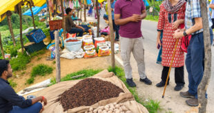 विदेशी पर्यटकों को आकर्षित कर रहा छत्तीसगढ़ का ग्रामीण पर्यटन मॉडल, लमना विलेज स्टे में ब्रिटेन के अतिथियों ने ग्रामीण जीवन, स्थानीय संस्कृति और हाट-बाजार का लिया अनुभव….
