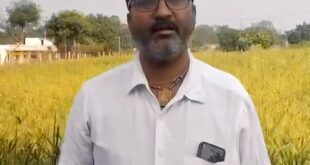 धान की जगह रागी की खेती से दिनेश को मिलेगा 10 हजार रुपये का प्रोत्साहन, कृषि विभाग से मिले बीज और तकनीकी मार्गदर्शन से एक एकड़ में तैयार हुई रागी की फसल……