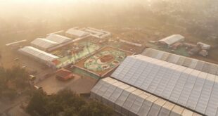 बस्तर के लालबाग में वनोपज से सजी 20,700 वर्गफीट की भव्य रंगोली ने रचा विश्व रिकॉर्ड, राष्ट्रपति द्रौपदी मुर्मु ने किया अवलोकन….
