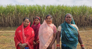 मुख्यमंत्री विष्णु देव साय के नेतृत्व में बिहान योजना से आत्मनिर्भर बन रहीं ग्रामीण महिलाएं, गन्ने की खेती से ममता राजवाड़े ने बढ़ाई आमदनी….