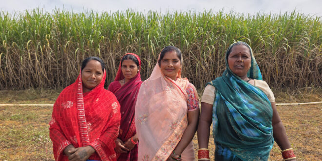 मुख्यमंत्री विष्णु देव साय के नेतृत्व में बिहान योजना से आत्मनिर्भर बन रहीं ग्रामीण महिलाएं, गन्ने की खेती से ममता राजवाड़े ने बढ़ाई आमदनी….