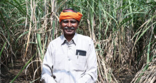‘गन्ना के समर्थन मूल्य में वृद्धि से मनोहर लाल सिन्हा के जीवन में आई मिठास, धान की तुलना में कम जोखिम, कारखाने तक सीधी पहुंच से सुरक्षित हुआ मुनाफा…..