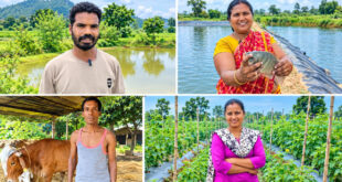 अन्नदाता के सम्मान से समृद्ध गांवों तक: कृषि और ग्रामीण विकास की नई दिशा, धान खरीदी से बाजार का भरोसा, सौर सिंचाई से बहुफसली खेती और जल संरक्षण से मजबूत हो रहा कृषि का आधार….