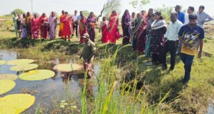 तालाबों में खिली आत्मनिर्भरता की उम्मीद : मखाना की खेती से बदल रही ग्रामीण महिलाओं की जिंदगी….