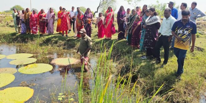 तालाबों में खिली आत्मनिर्भरता की उम्मीद : मखाना की खेती से बदल रही ग्रामीण महिलाओं की जिंदगी….
